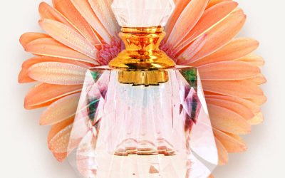 演示文章2号测试